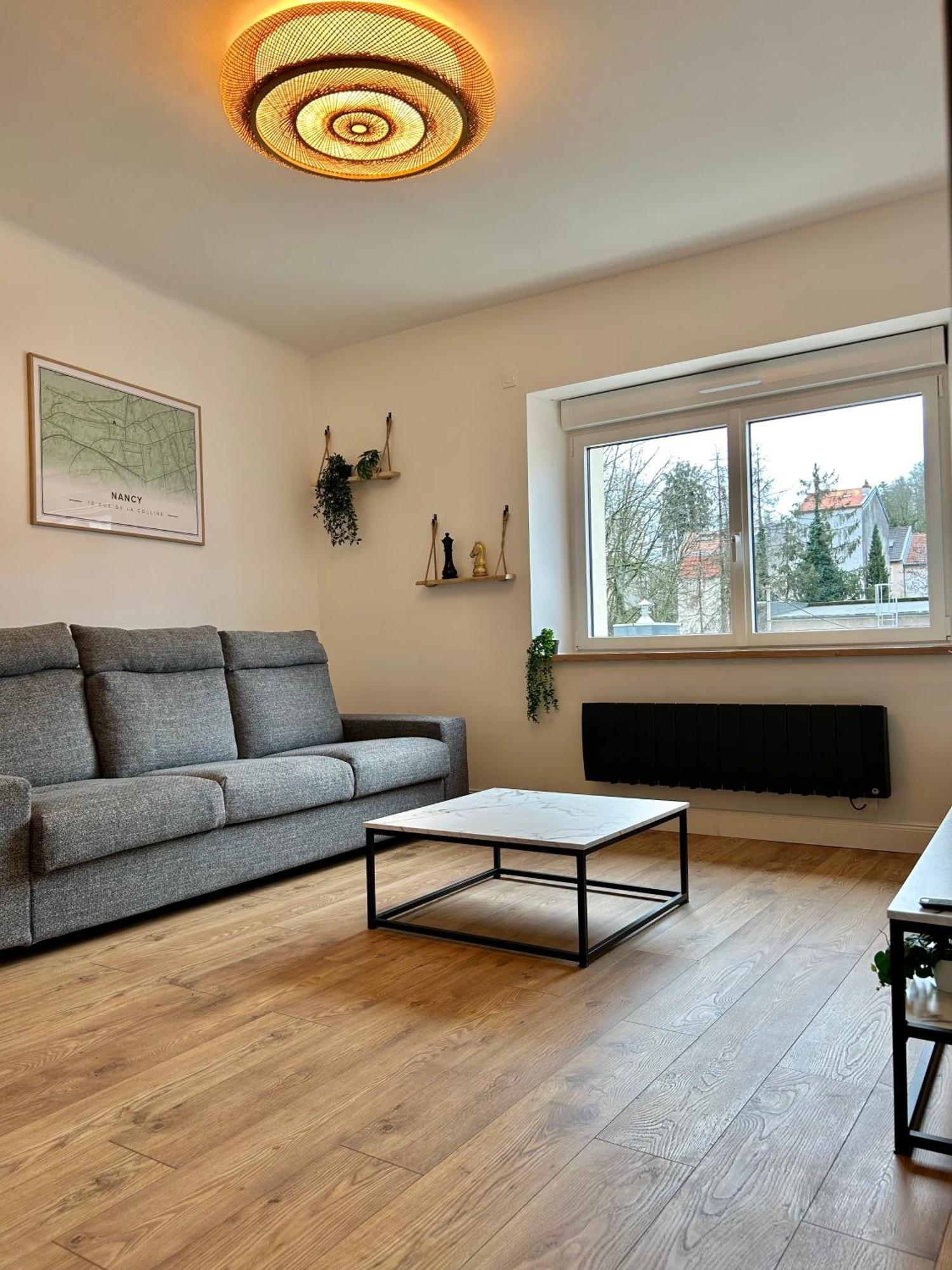 Le Chardon- Appartement 2Chambres- Avec Stationnement น็องซี ภายนอก รูปภาพ